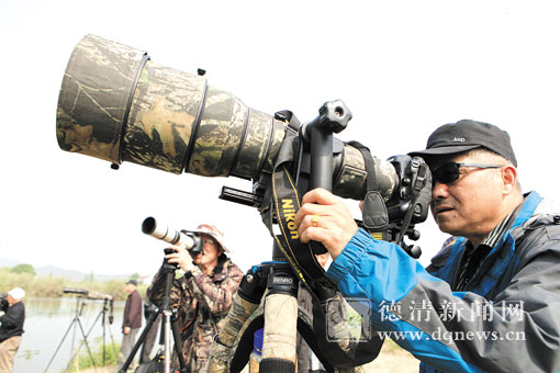 “长枪短炮”瞄准小鸟