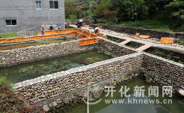 禾丰村砌筑鹅卵石改造清水鱼塘