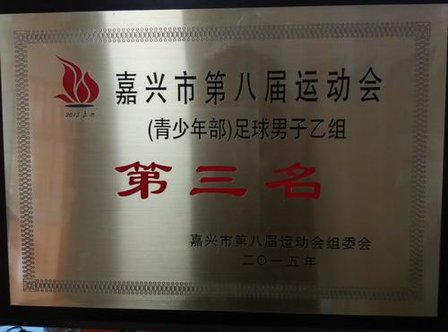 桐乡市校园足球队荣获嘉兴市足球比赛季军 --桐