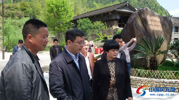 叶青调研美丽乡村建设及农家乐,民宿经济工作