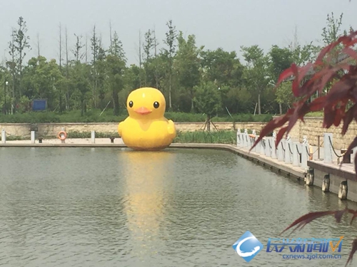 大黄鸭亮相图影湿地公园造势五一 (图)