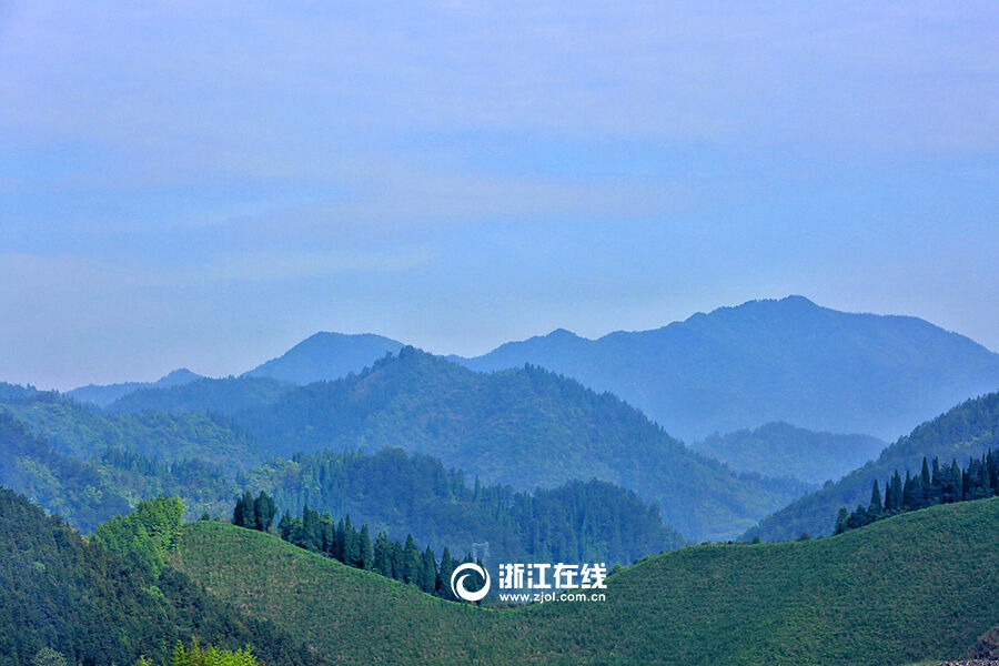 层峦叠嶂的翠绿山岳,是开化人取之不尽金山银山.