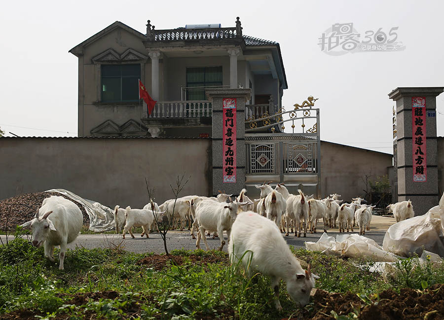 拍客记录 作品点评