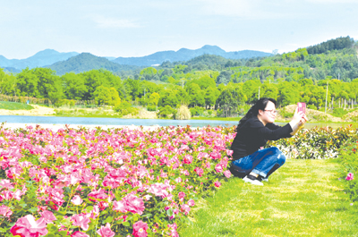 澧浦绿道频道花开--金华初中月季有南京多少图片