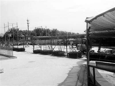 16720507_536106.jpg