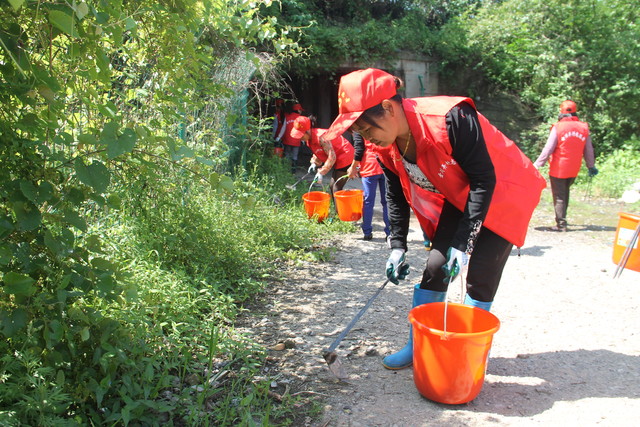 <em>金川</em>弄村<em>妇女</em>助力五水共治--常山新闻网