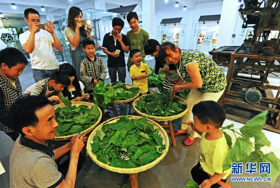 南浔民办博物馆异彩纷呈