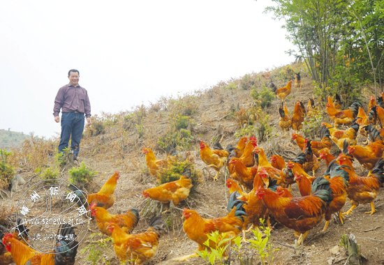 水产养殖行业现状与发展趋势分析(2026年)(图1)