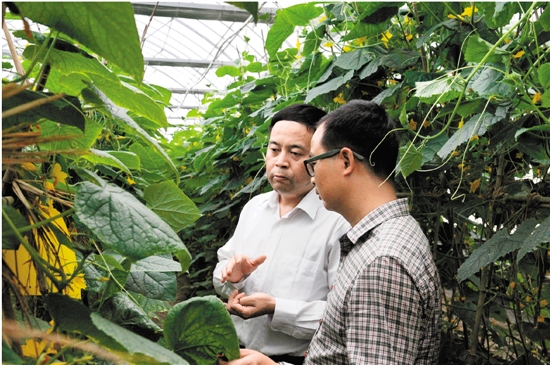 为乡镇架起金融 桥 农行浙江分行301名干部赴