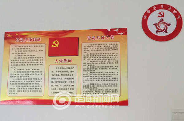 双桥31个党小组活动点集体挂牌亮相-党小组