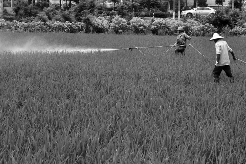 ����÷�꼾������æ