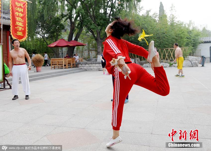 晨练大妈顶猫练功再升级