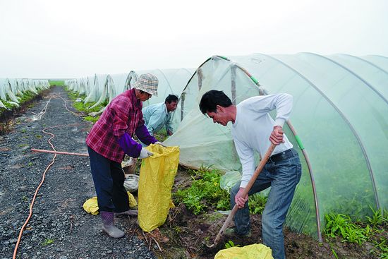 我区各地全线防御台风“灿鸿”