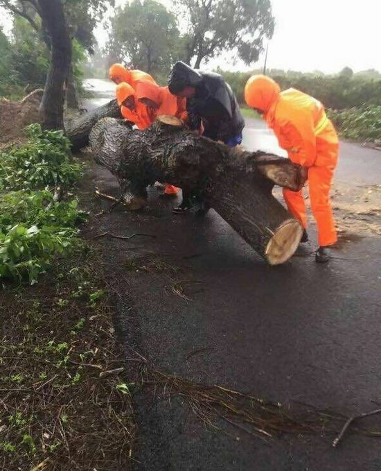 公路部门紧急抢通阻断公路保畅通