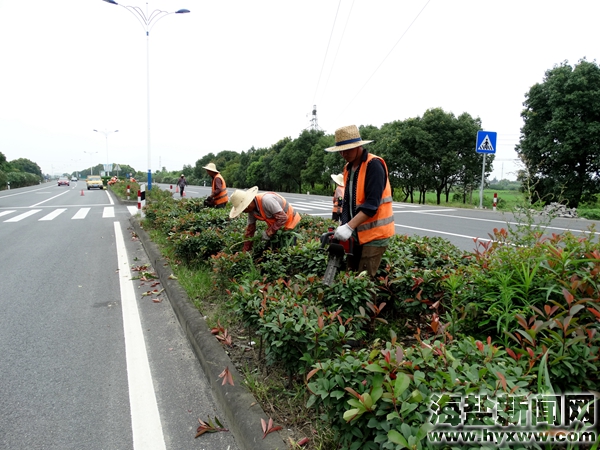 公路绿化修剪忙