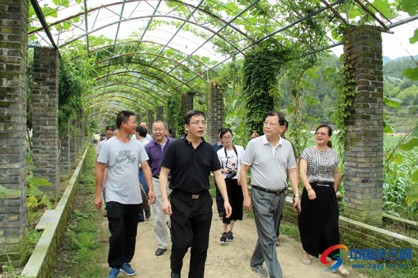 叶青:树立精品意识 严把时间节点 统筹推进美