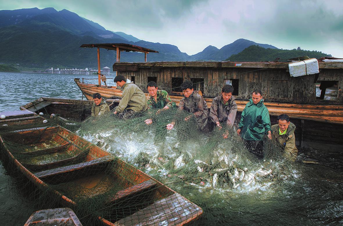 中国渔村|摄影|风光|MIER666YING - 原创作品 - 站酷 (ZCOOL)