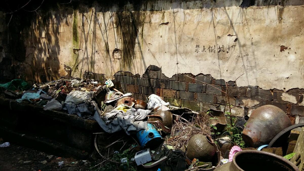 崇仁镇积极开展农村环境卫生自查工作