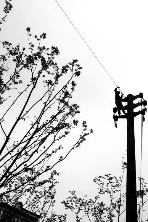 �ĵ��� ӭʢ�� 