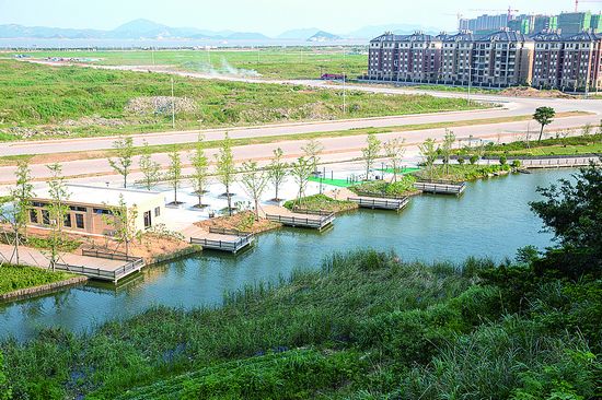 东港武岭湿地公园二期完成绿化提升