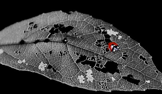 �й�����ˮ��������Ӱ������Ʒչ