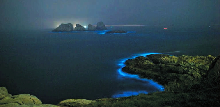 宁波象山渔山岛惊现美丽“蓝眼泪”
