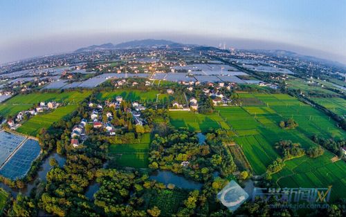 绿色农田书写丰收(图)-3