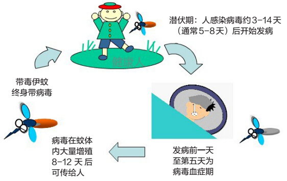 人口流动频繁_行业人员流动频繁 看看这家64年历史的养老院怎样留住人才