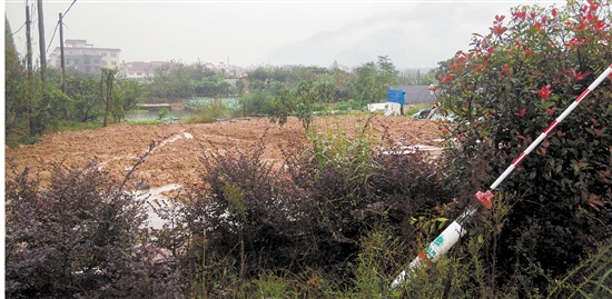 这些事儿都妥妥了吗?--每周聚焦半年回访之违