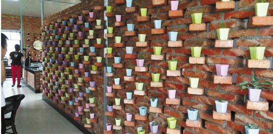 义乌:火龙果基地里开书吧 唤起人们田园梦--金