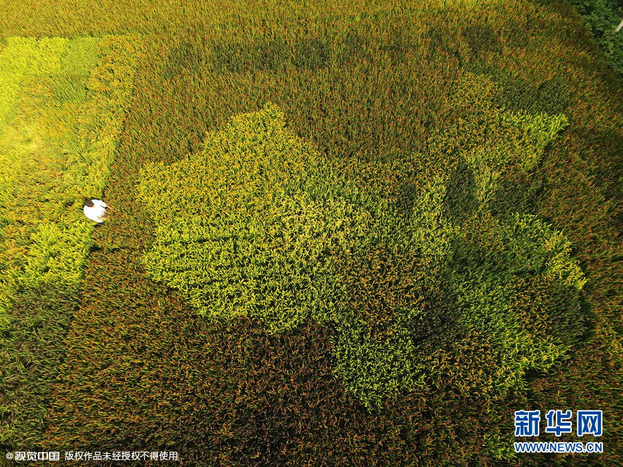 ��ɫˮ���ֳ��й���ͼ