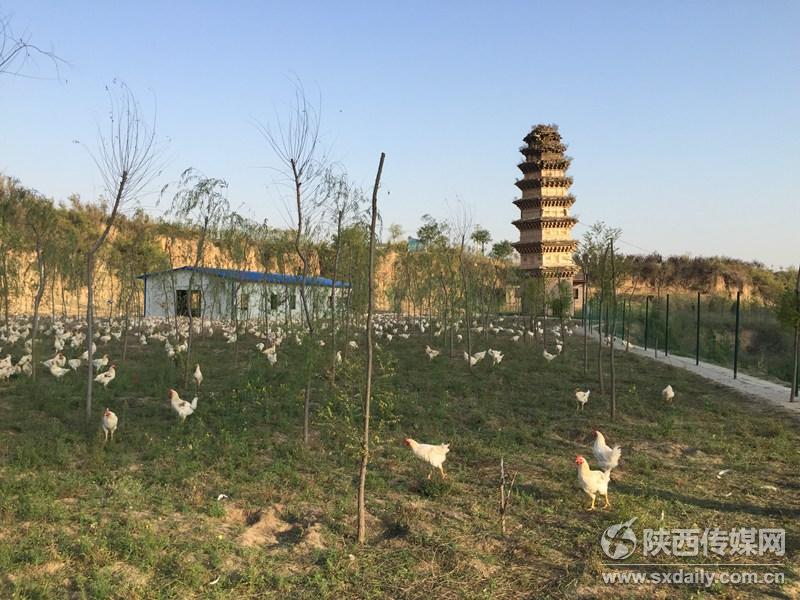 ����ǧ�������б����