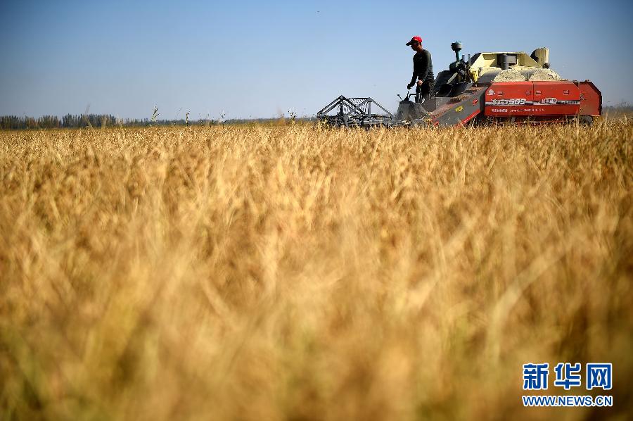 ���Ͻ������æ