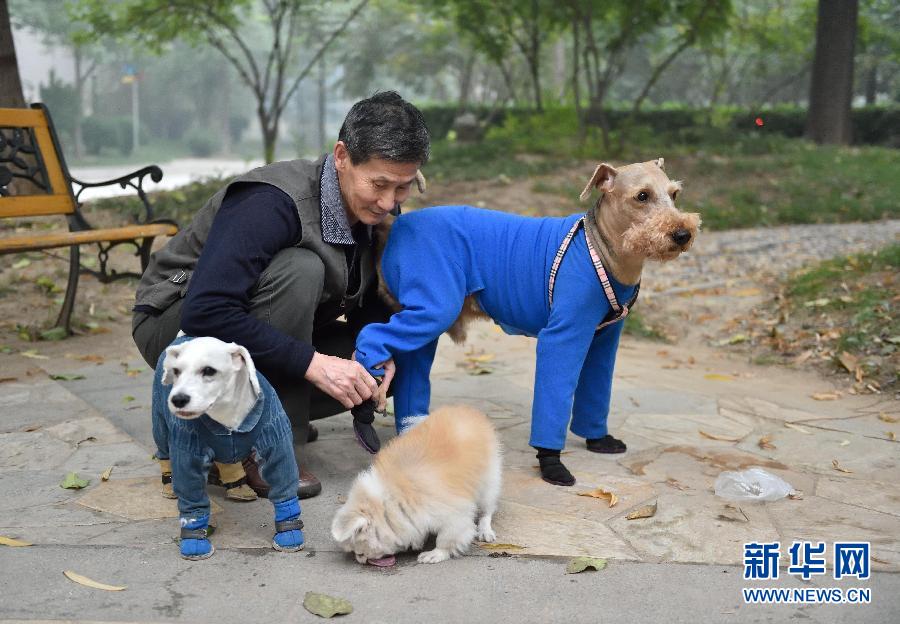 ���˺����ǵĶ������