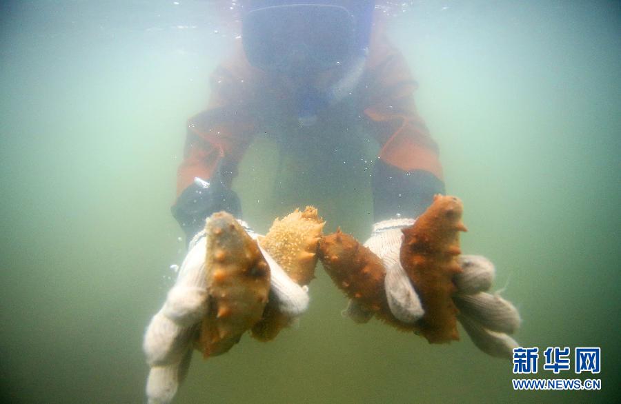 ���������ɴ̲η��ռ�