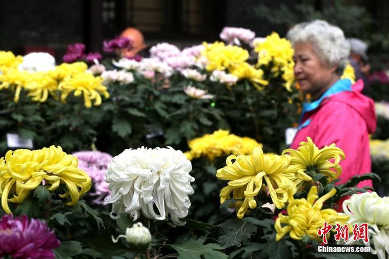 ��ͻȪ�����չ��Ļ