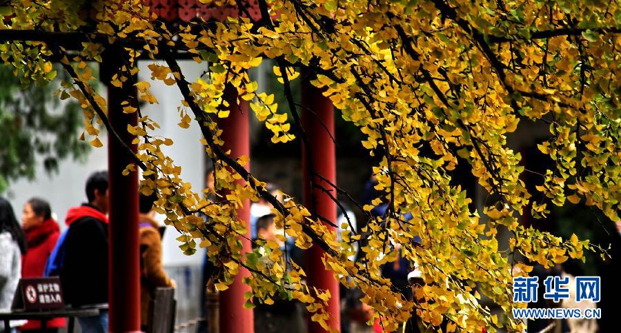 �����������＾����