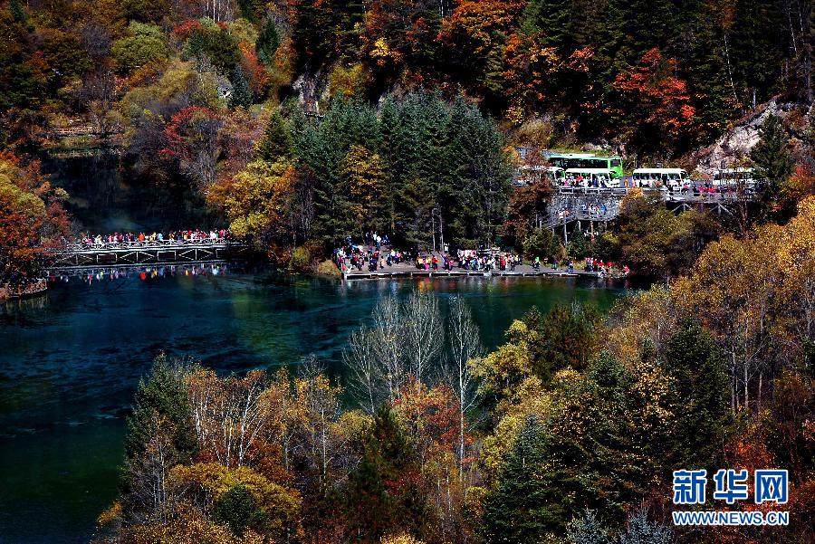 ��կ��������