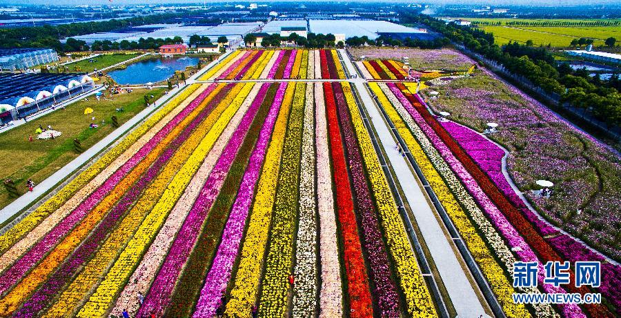 ��ǡ���ʵ�̺�㡱