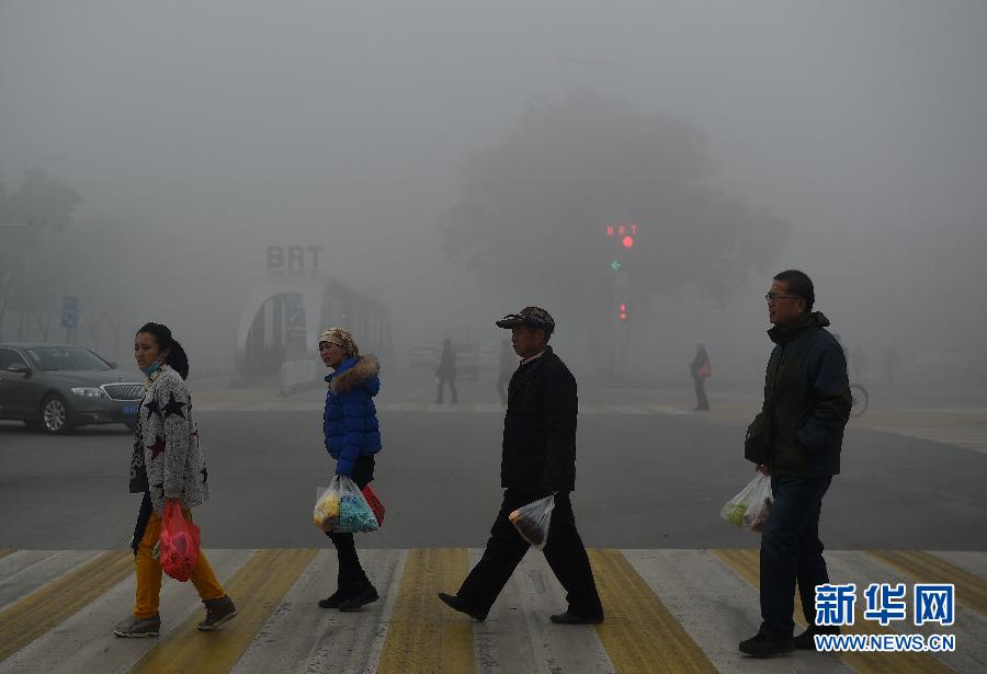 ��������������ɫԤ��