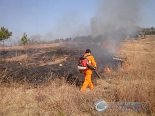 本月起我县进入森林防火期(图)-2