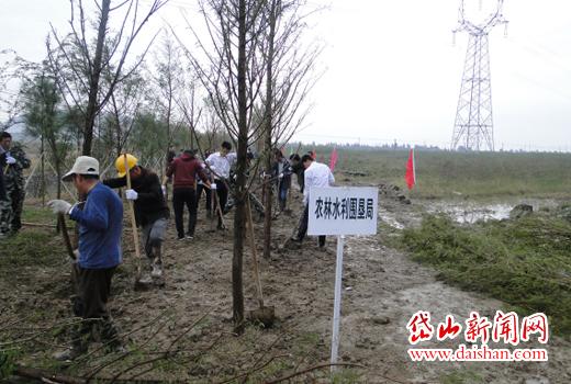 岱东镇人口_东岱镇洪塘镇实景