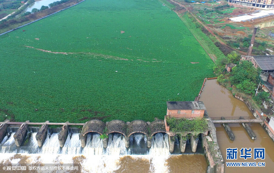 ���Ϻ���ˮ��«����