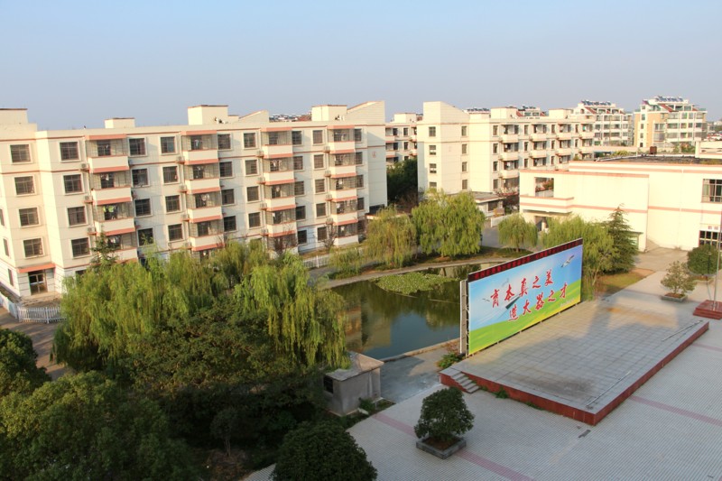 龙中牵手浙江最牛高中--龙游新闻网