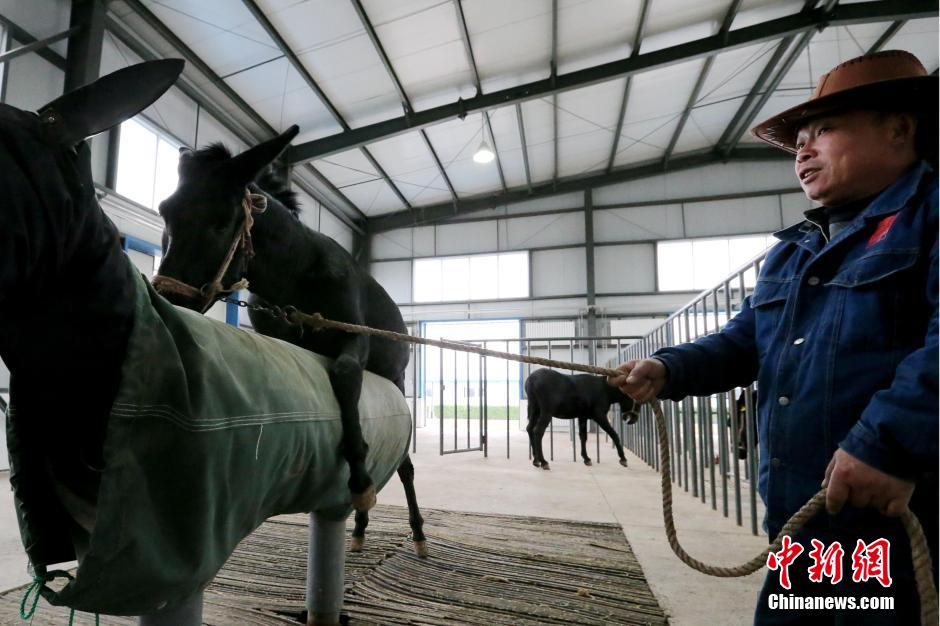 ̽�غ�ë¿��������