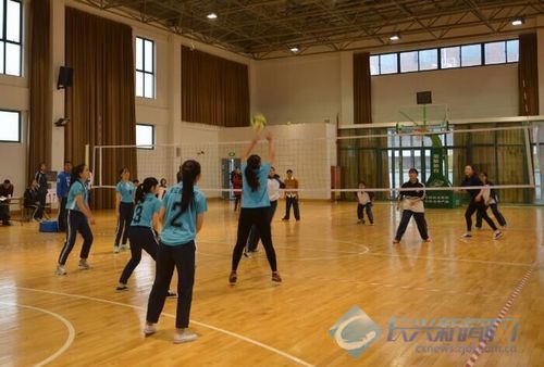 长兴县第七届体育节排球高中组比赛结束(图)-2