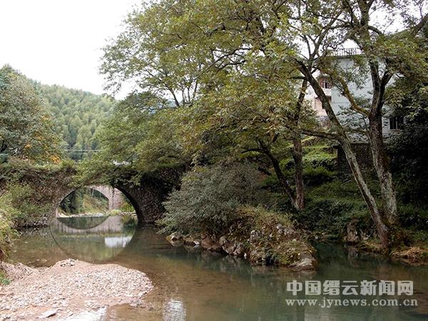 大洋木栗 九龟坑上的别致风景