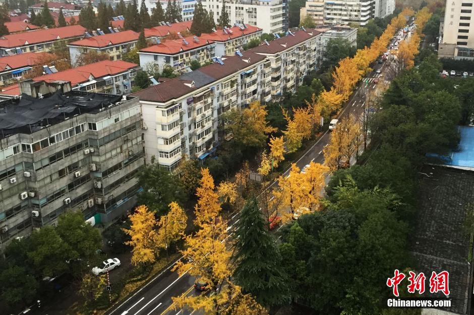 �Ͼ���ͷ��˿������Ʈ��