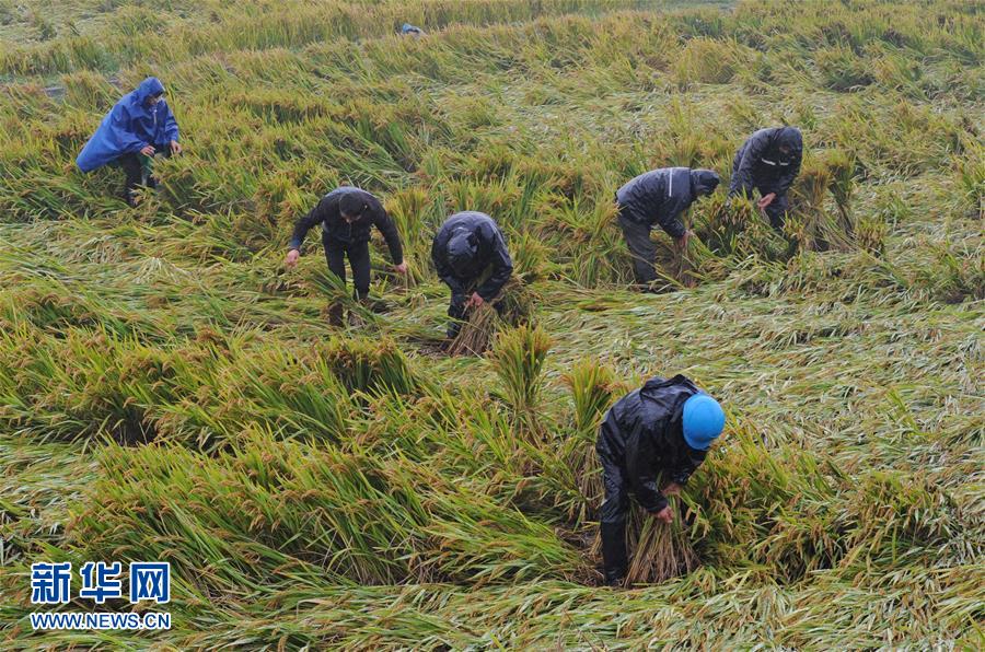 �㽭���ն��ֿ���