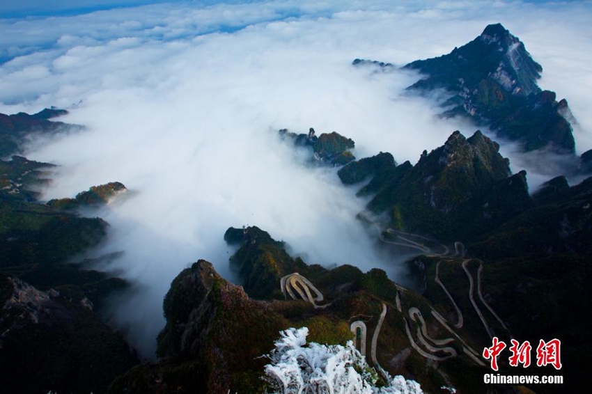 �żҽ�����ɽ��ڡ����